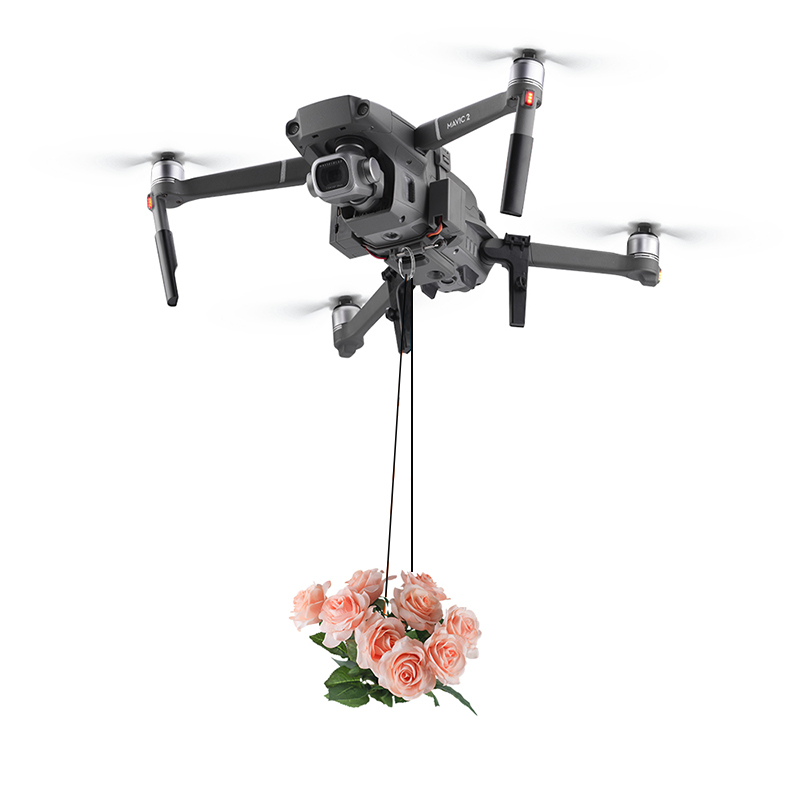BRDRC-sistema de caída de AirD - Drone Dji Rc Pro reseña y precio